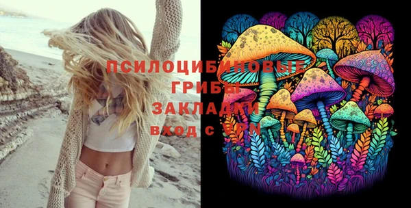 эйфоретик Алзамай