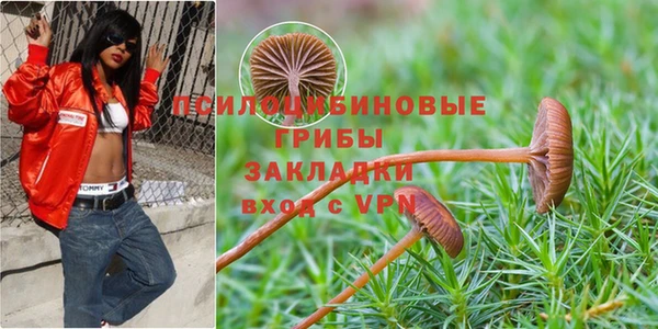 ALPHA PVP Алексеевка
